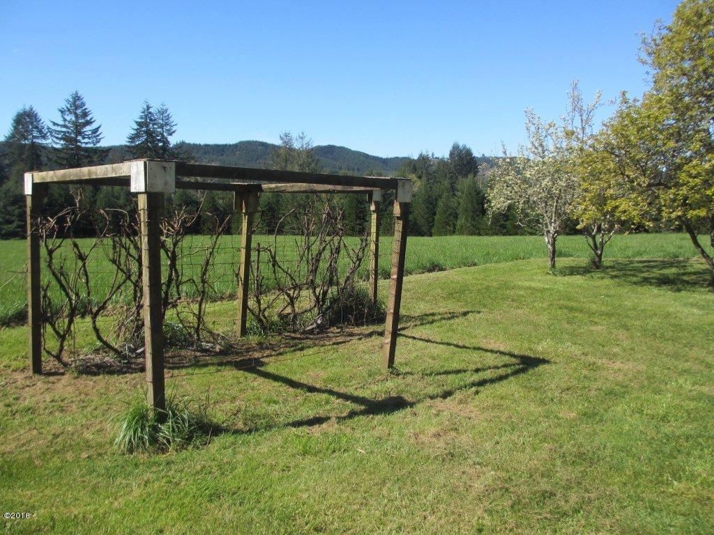 1230 Moonshine Park Road Logsden, OR 97357 - Photo 28 of 34 grapes