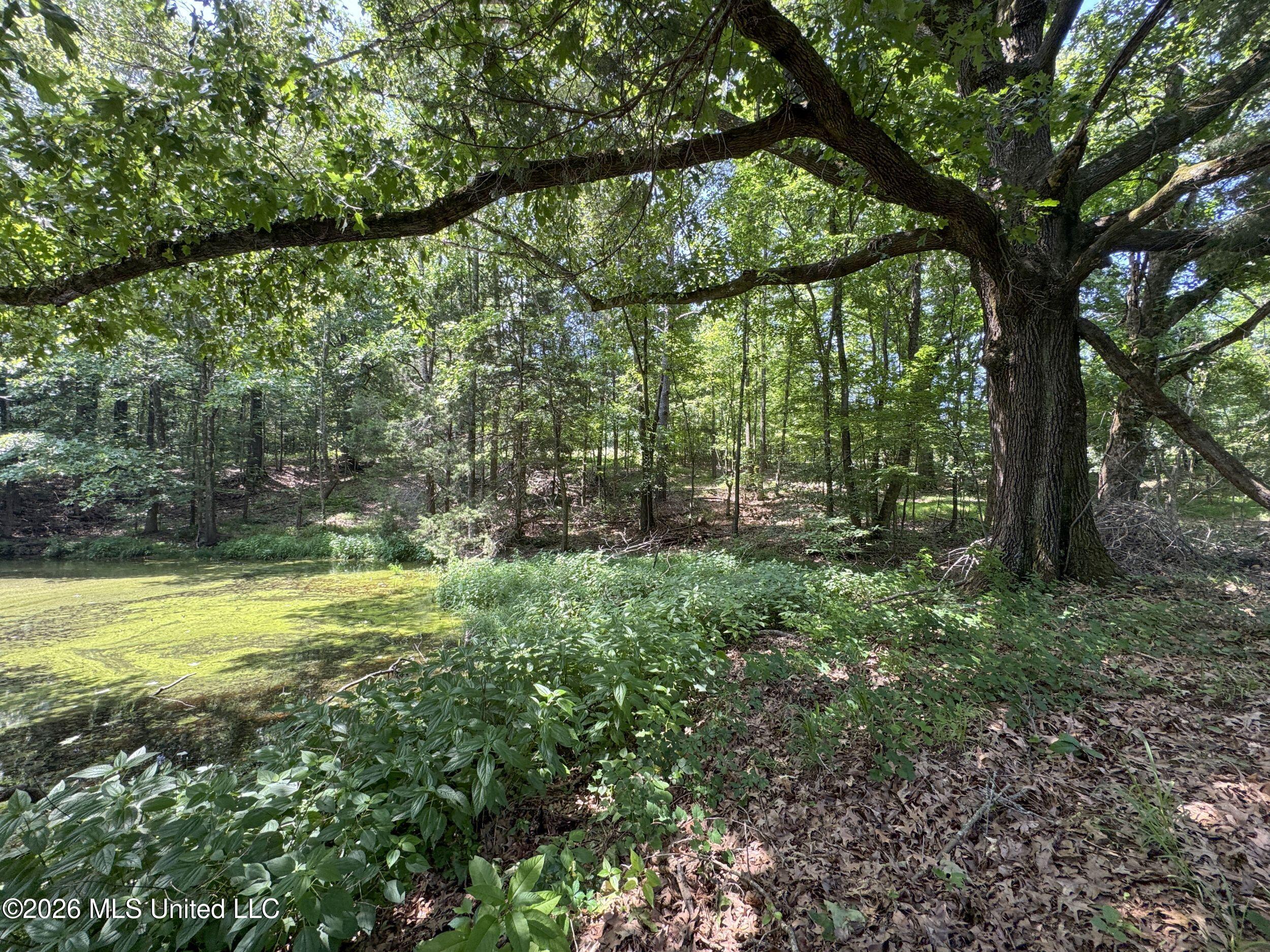 884 Avant Road Crenshaw, MS 38621 - Photo 145 of 154 6dbyicr98