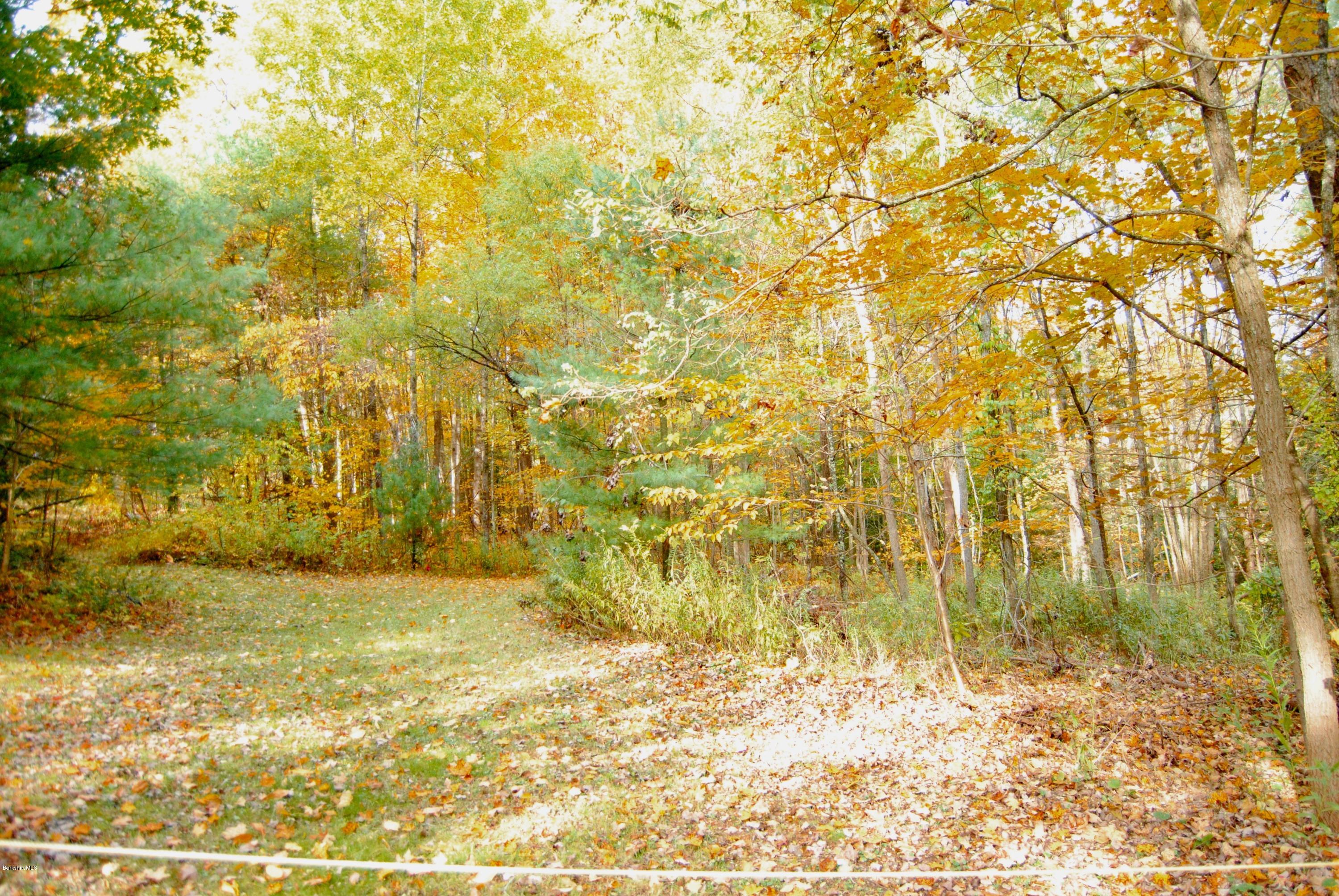301 Alum Hill Road Sheffield, MA 01222 - Photo 2 of 11 301 Alum Hill