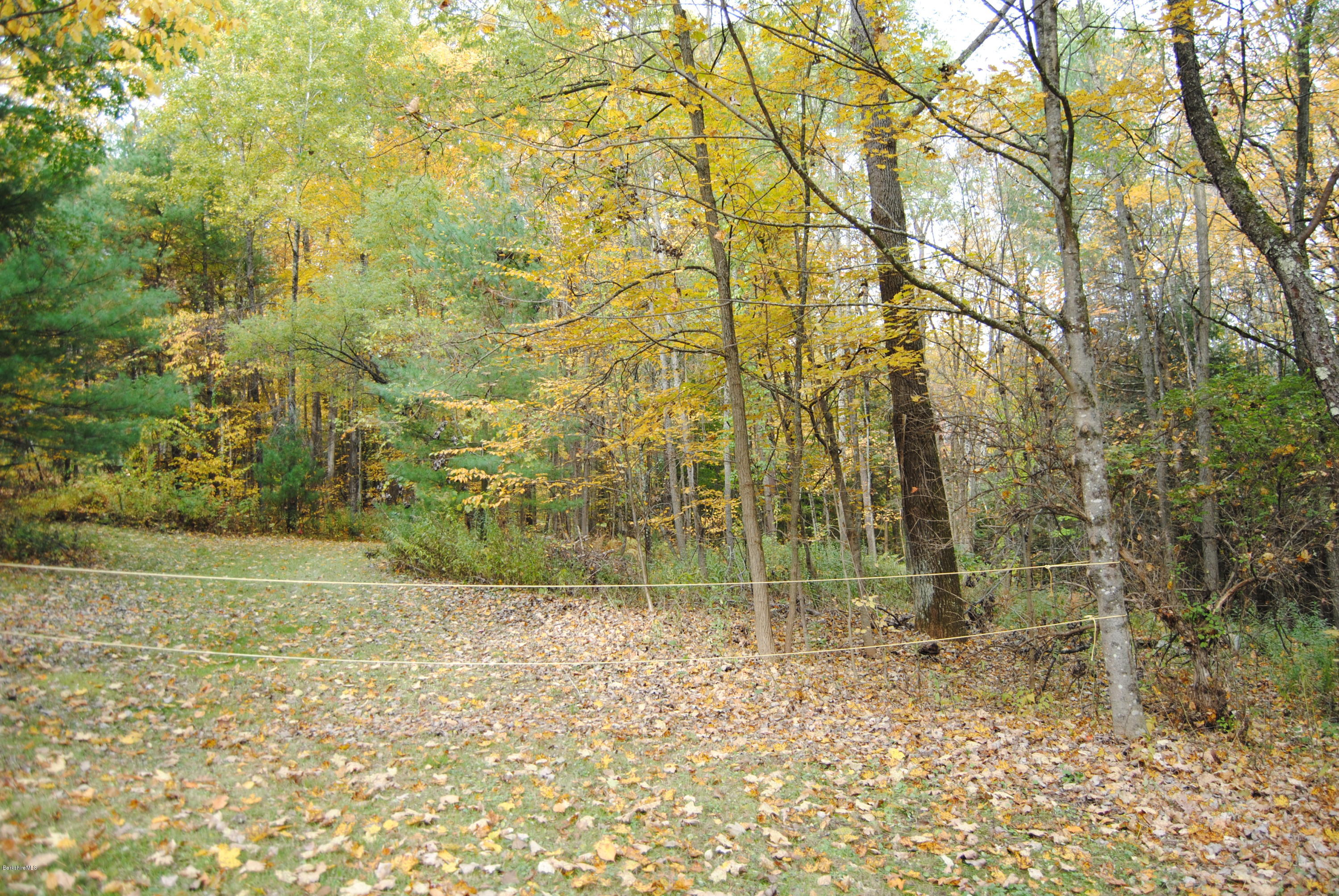 301 Alum Hill Road Sheffield, MA 01222 - Photo 11 of 11 DSC_0416