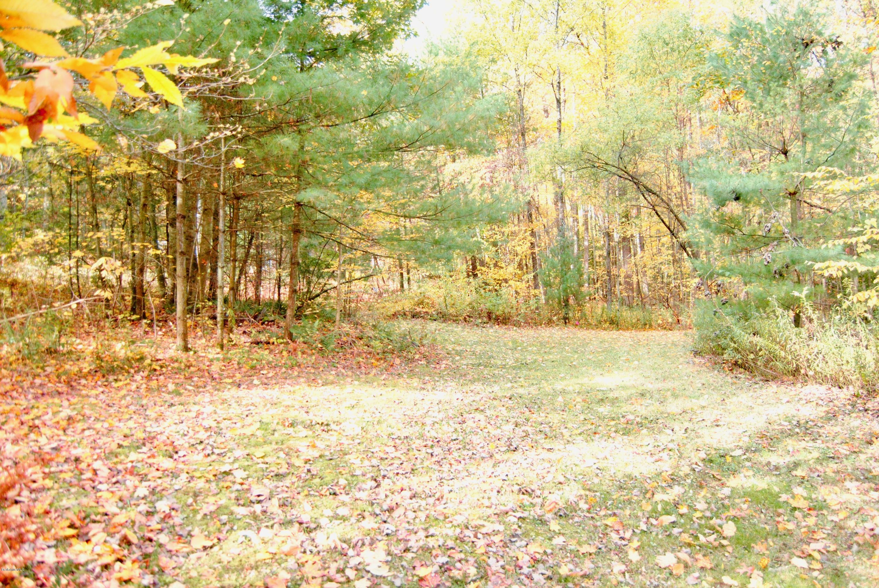301 Alum Hill Road Sheffield, MA 01222 - Photo 3 of 11 301 Alum Hill