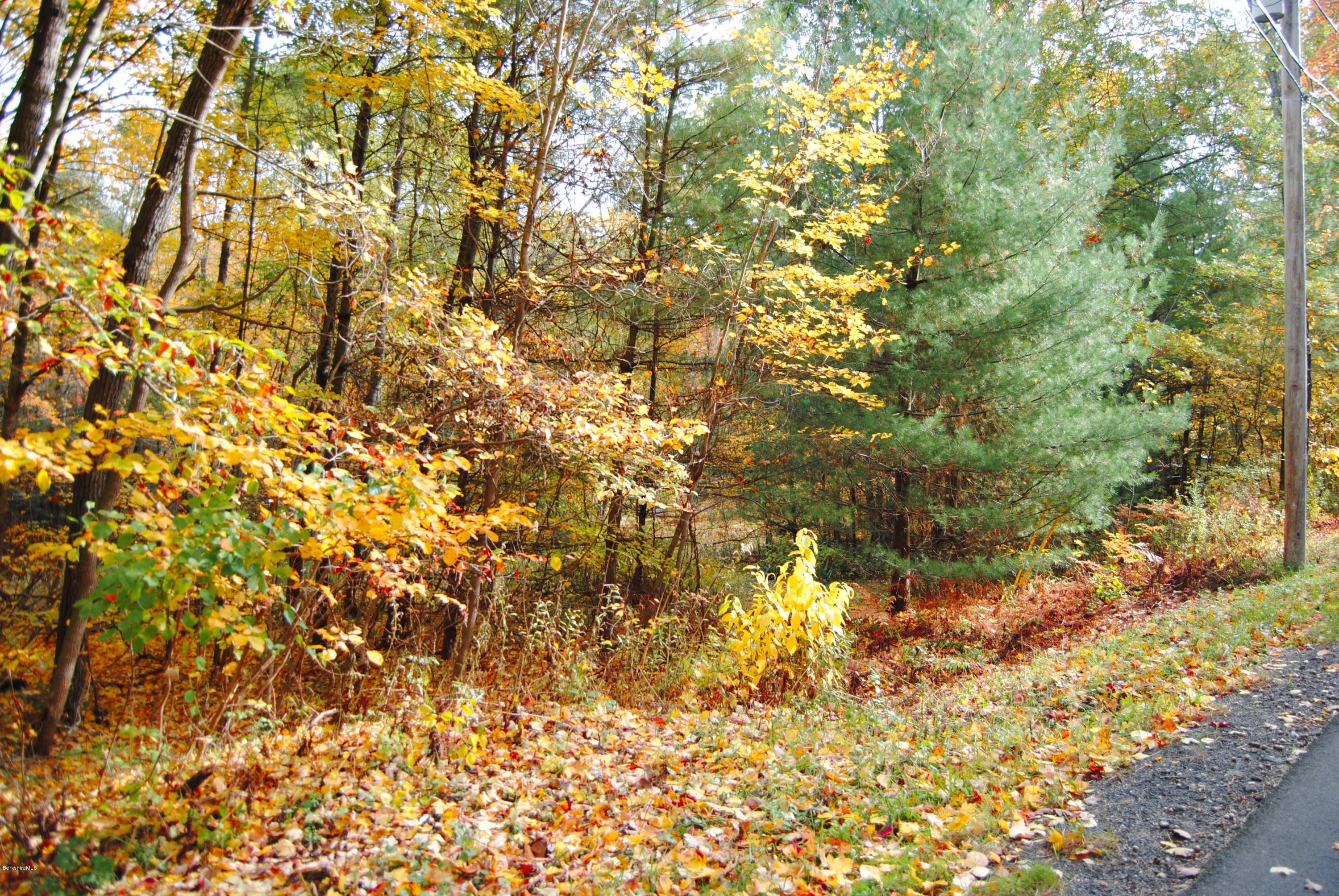 301 Alum Hill Road Sheffield, MA 01222 - Photo 7 of 11 301 Alum Hill