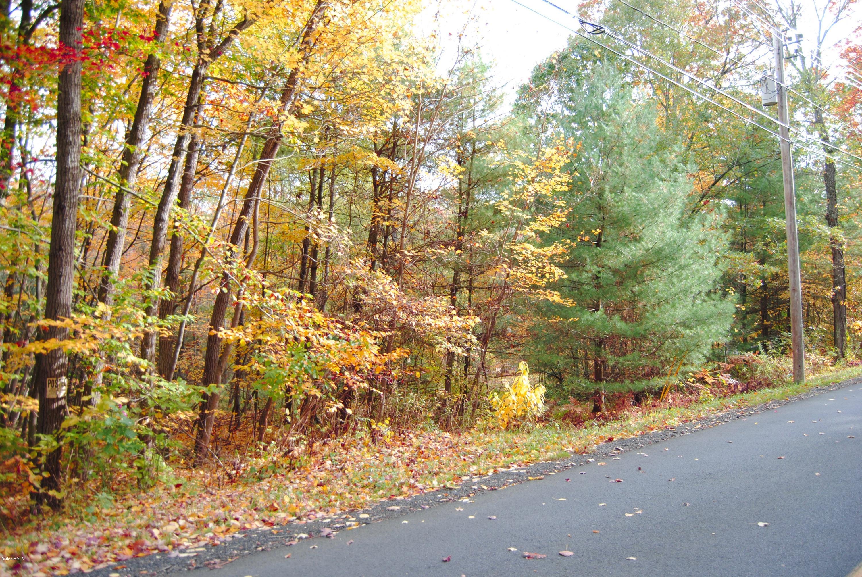 301 Alum Hill Road Sheffield, MA 01222 - Photo 8 of 11 301 Alum Hill