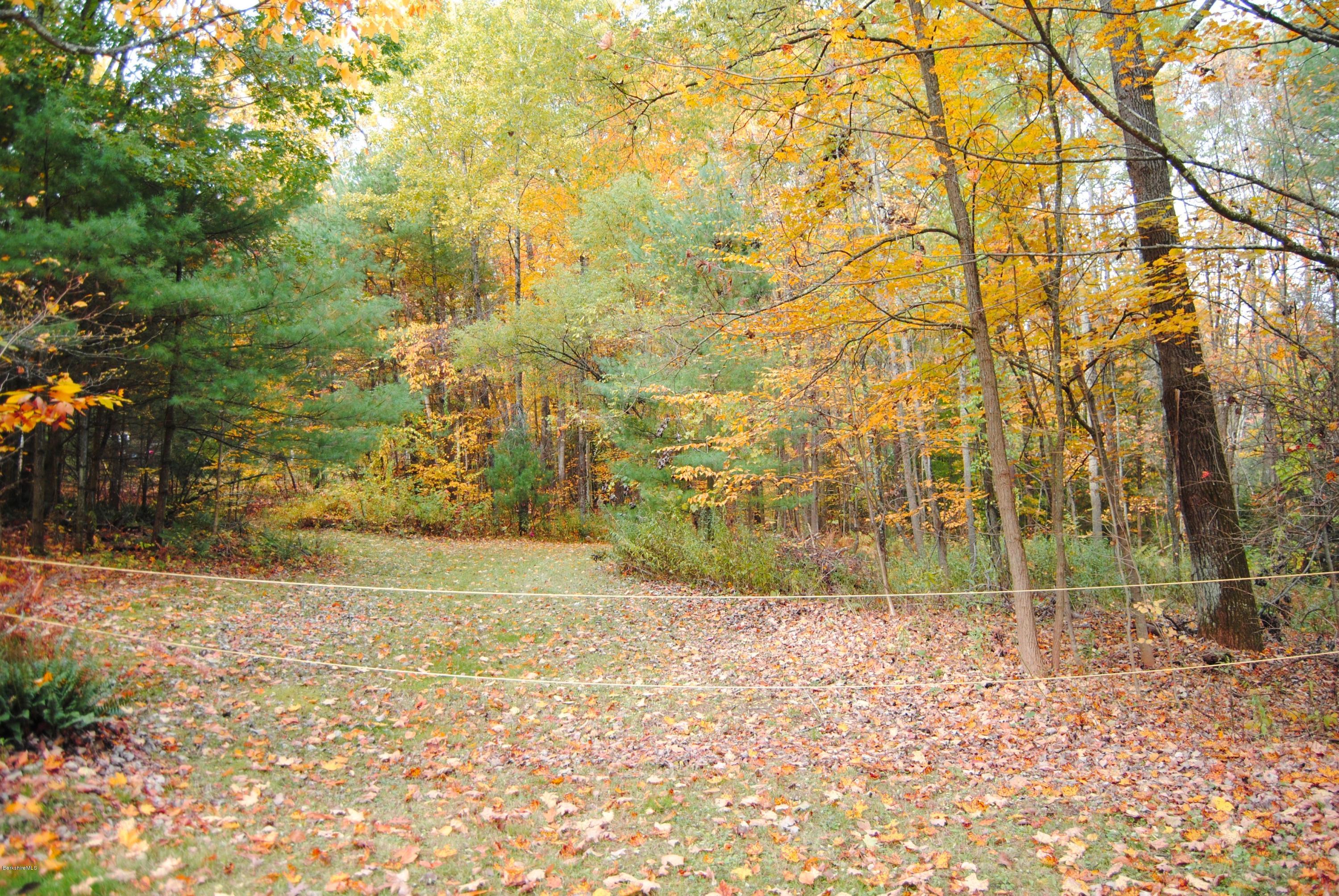 301 Alum Hill Road Sheffield, MA 01222 - Photo 10 of 11 301 Alum Hill
