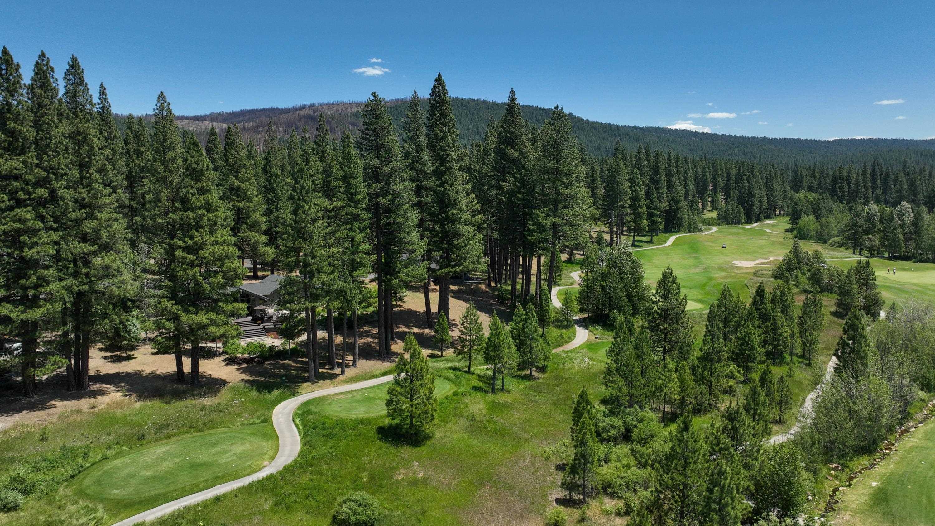 134 Quail View Circle Clio, CA 96106 - Photo 6 of 49 a view of a green yard with large trees