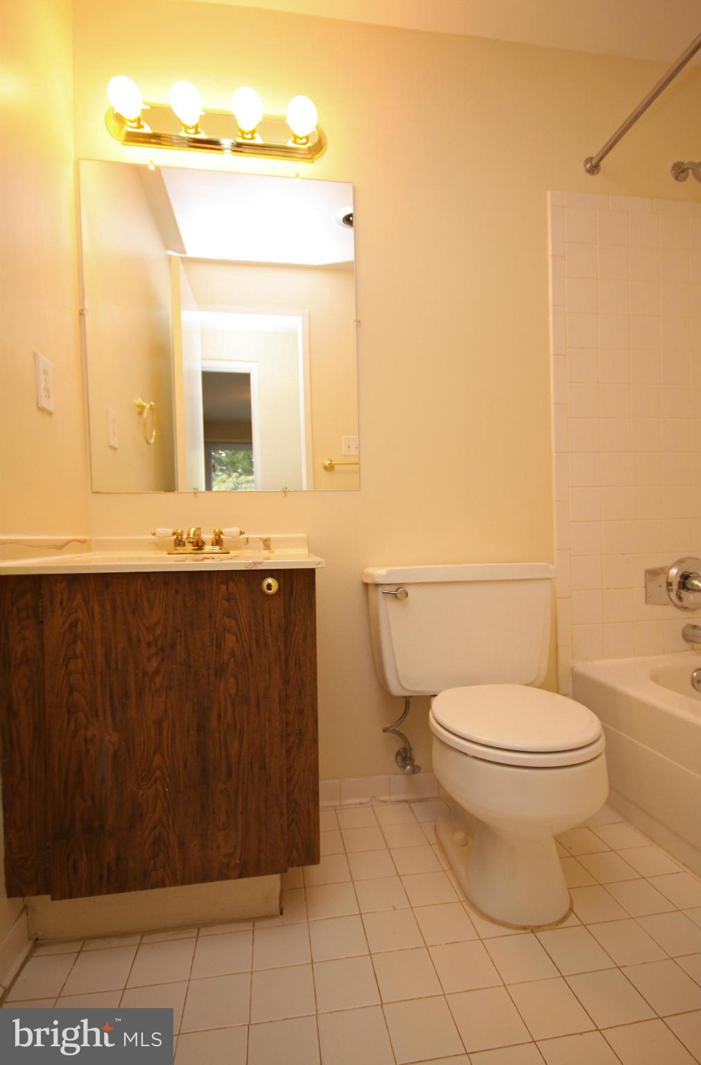 9424 Kilimanjaro Road Columbia, MD 21045 - Photo 17 of 30 Bath