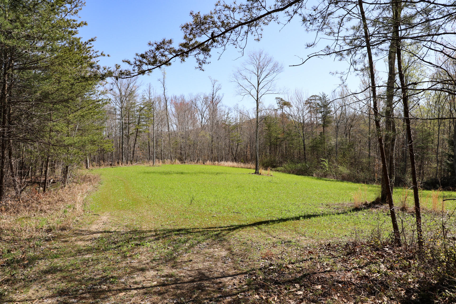 553 Oscar Morgan Road Strunk, KY 42649 - Photo 36 of 53 34