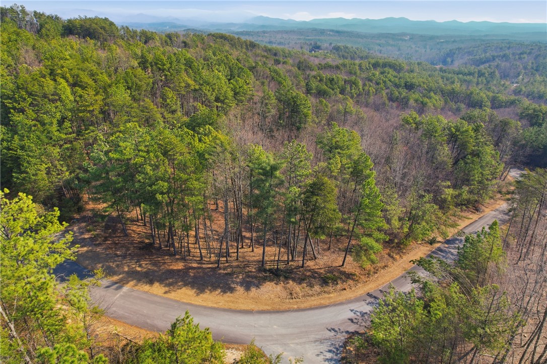 S-28 Tamassee Ridge Way Salem, SC 29676 - Photo 1 of 21