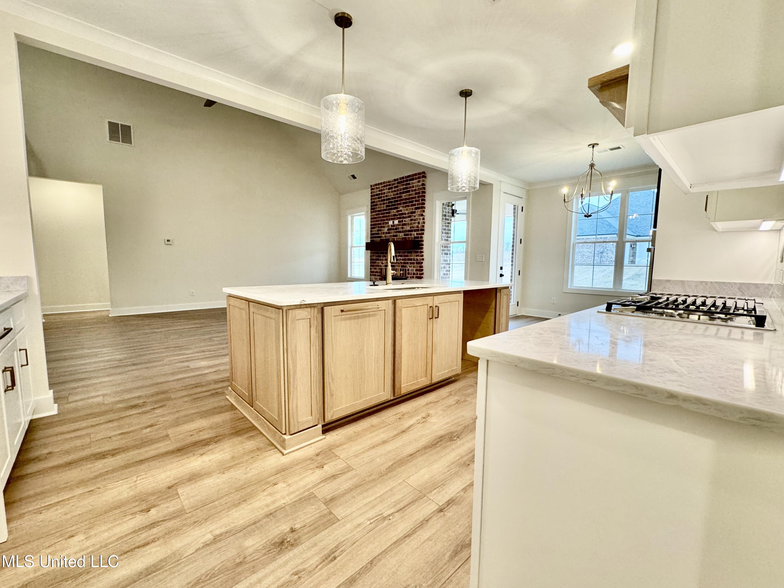 127 Bakersfield Way Nesbit, MS 38651 - Photo 12 of 35 IMG_3916