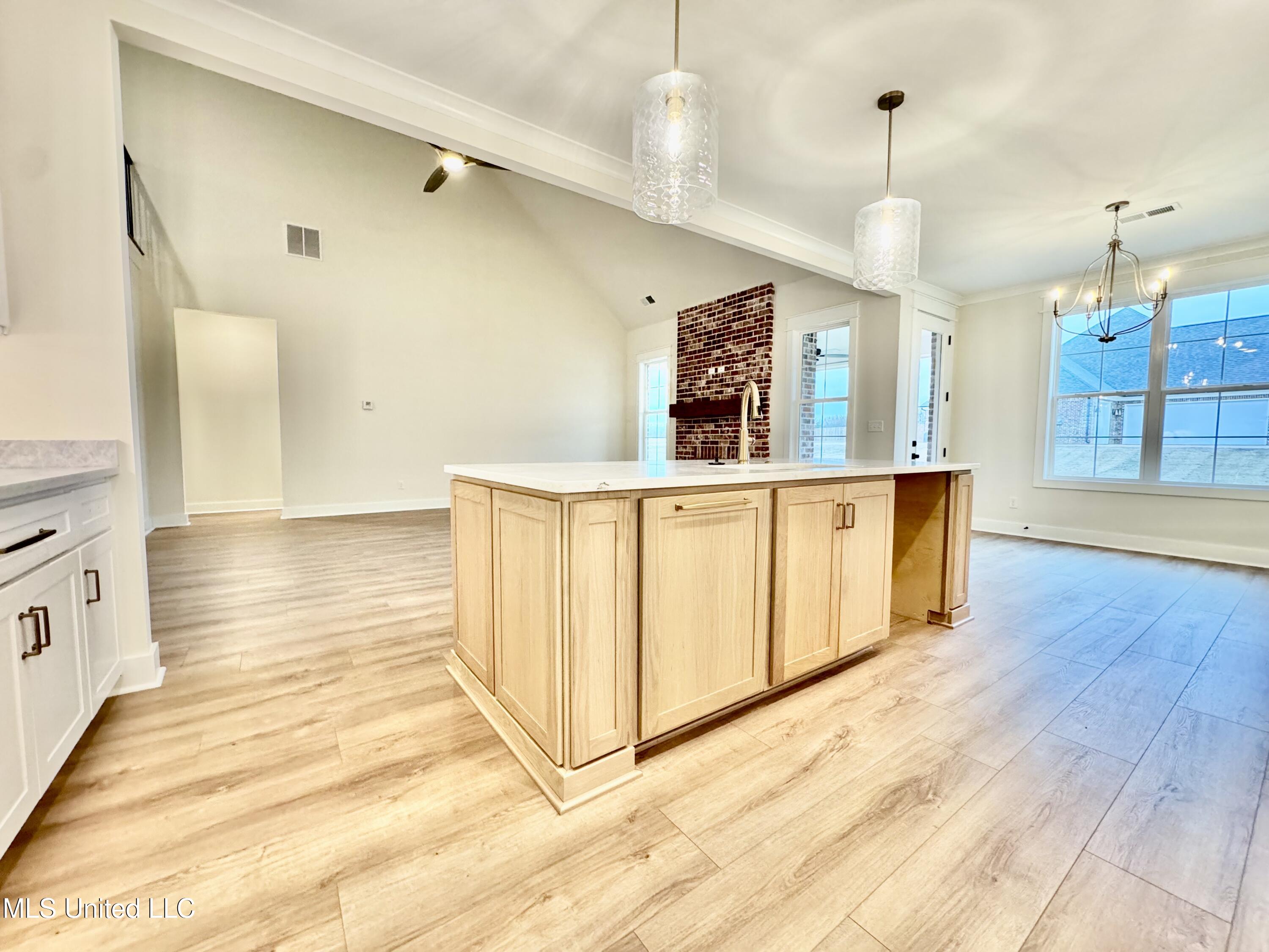 127 Bakersfield Way Nesbit, MS 38651 - Photo 14 of 35 IMG_3923