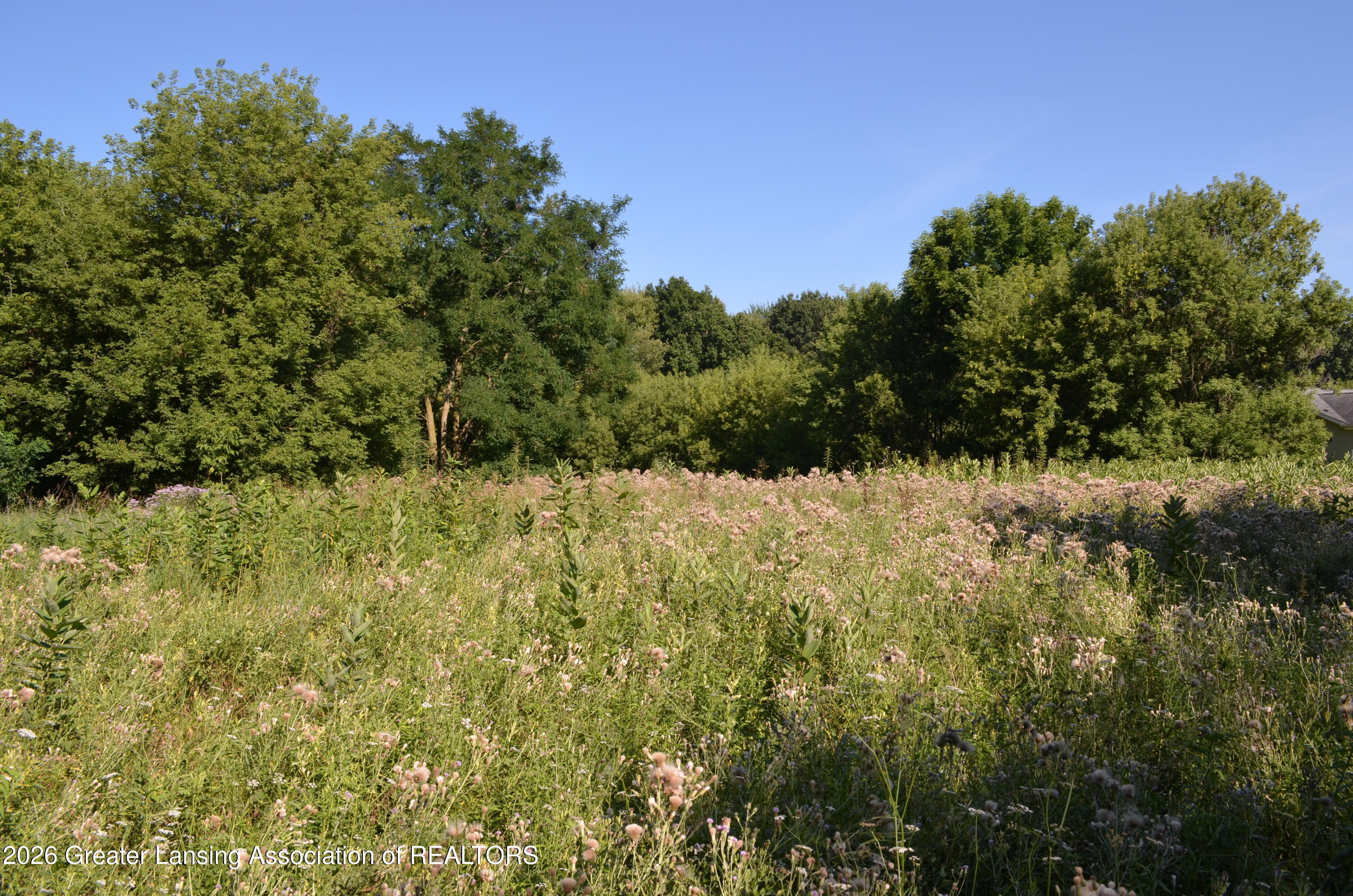 0 Edgar Road Leslie, MI 49251 - Photo 1 of 4 DSC_0769