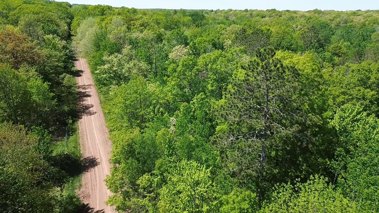 343 X 5th Avenue Shell Lake, WI 54871 - Photo 4 of 16