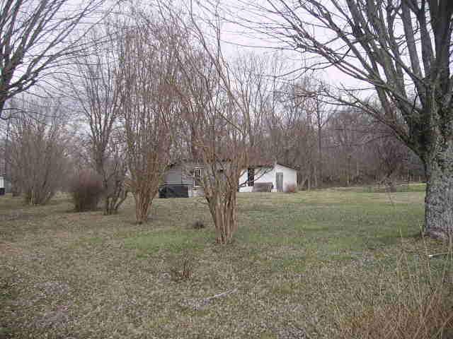 39 Collins Road Red Boiling Springs, TN 37150 - Photo 2 of 12