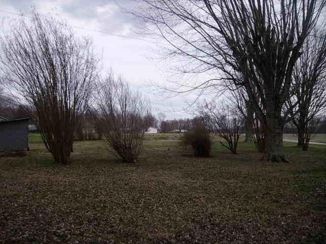 39 Collins Road Red Boiling Springs, TN 37150 - Photo 3 of 12