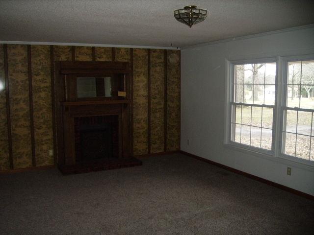 39 Collins Road Red Boiling Springs, TN 37150 - Photo 7 of 12
