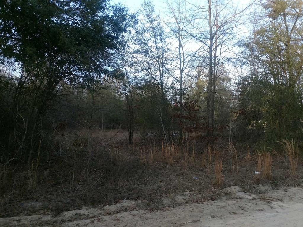 0 Ball Park Road Barnwell, SC 29812 - Photo 2 of 4