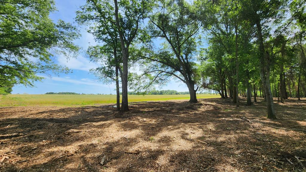 92 County Road 92 Slocomb, AL 36375 - Photo 7 of 58