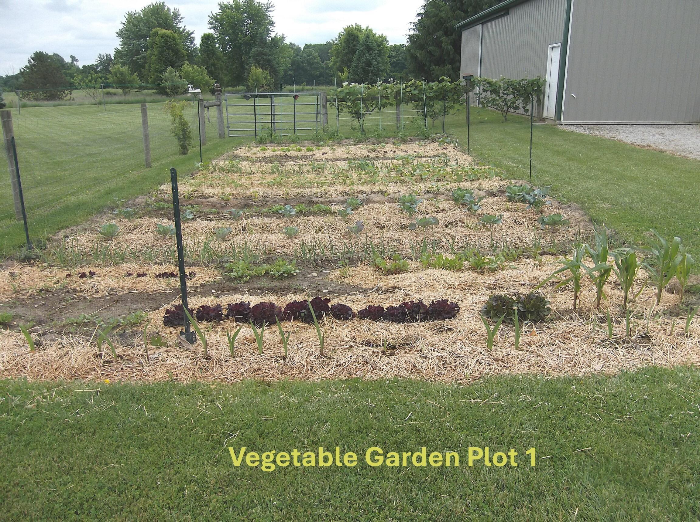 12058 Dunham Road Mount Vernon, OH 43050 - Photo 35 of 36 garden1