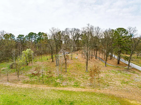 a view of outdoor space yard and green space
