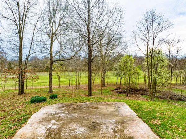 a view of a yard with trees