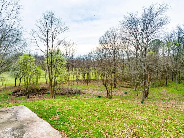 a view of yard with swimming pool and trees