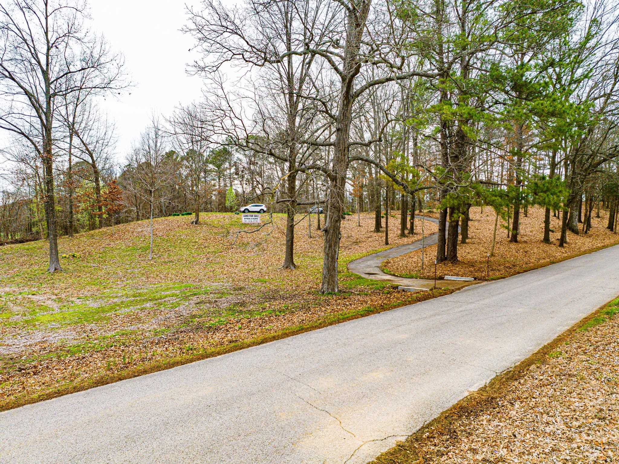 153 Harrison Road Martin, TN 38237 - Photo 23 of 40 a view of yard with swimming pool and trees