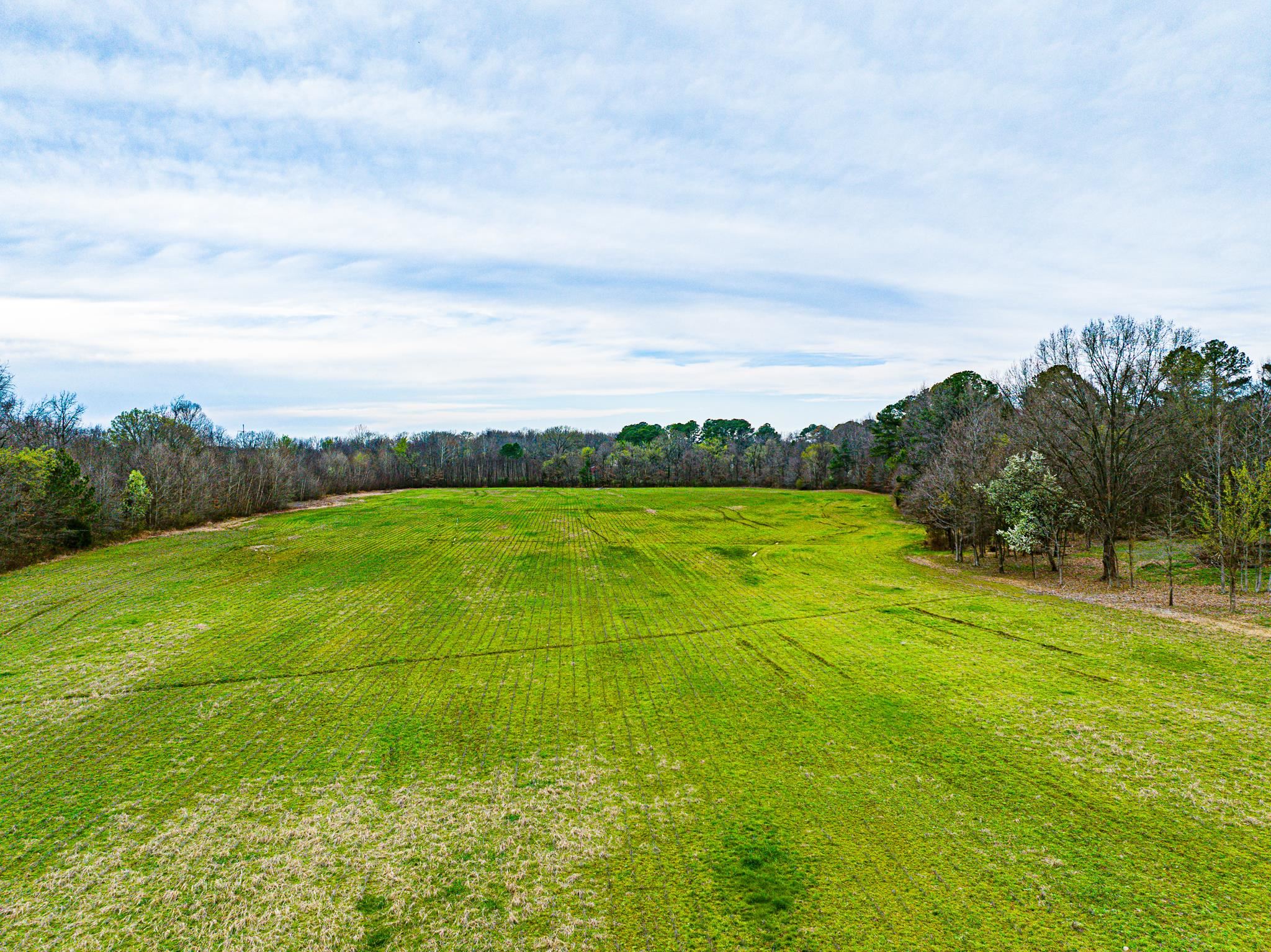 153 Harrison Road Martin, TN 38237 - Photo 26 of 40 a view of an ocean and beach