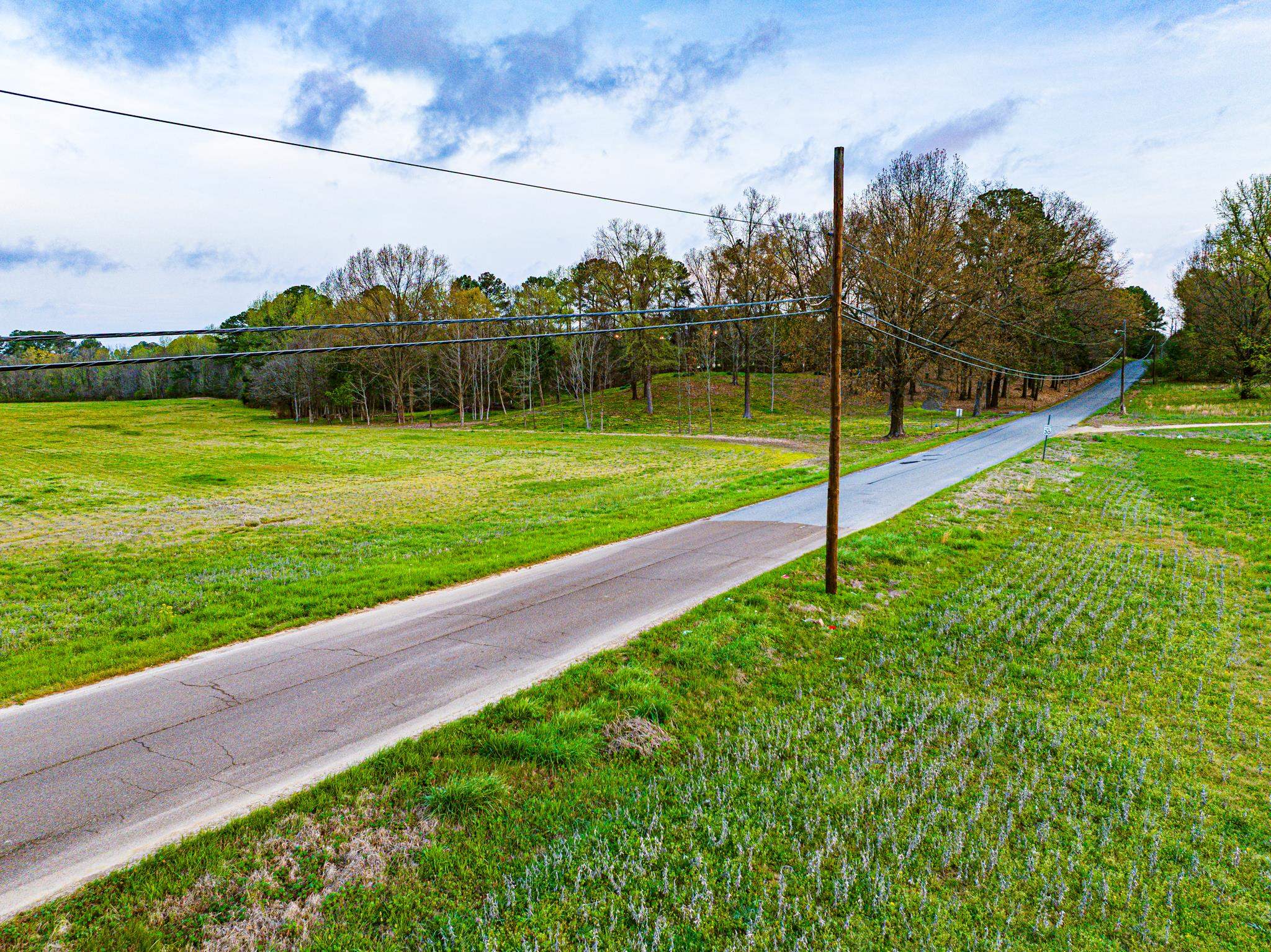 153 Harrison Road Martin, TN 38237 - Photo 31 of 40 a view of a park with large trees