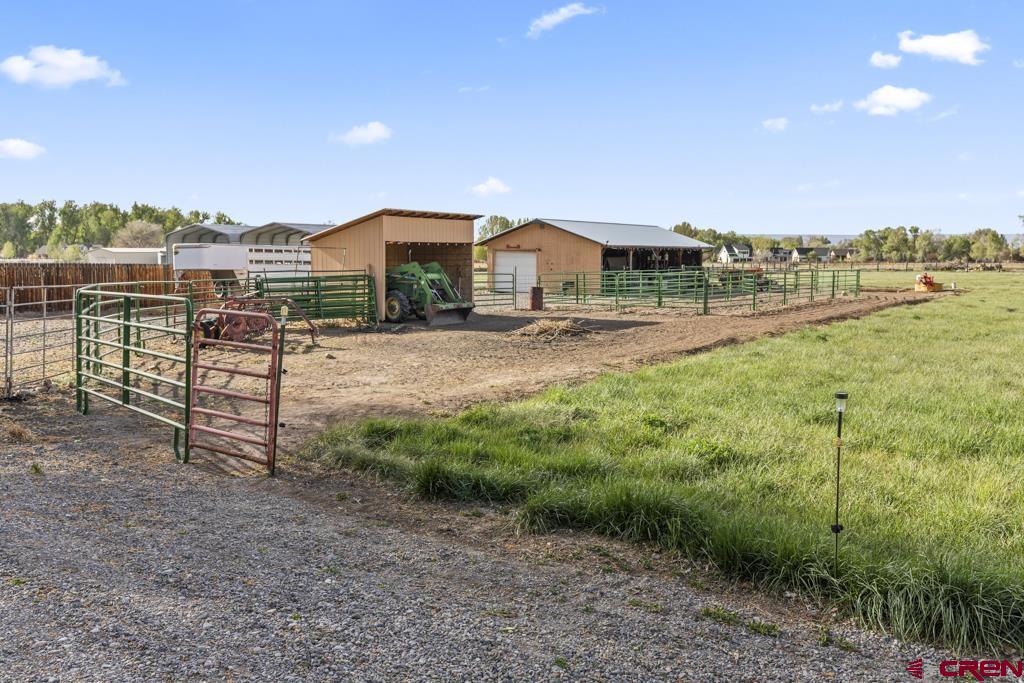 61393 Niagara Road Montrose, CO 81403 - Photo 17 of 45
