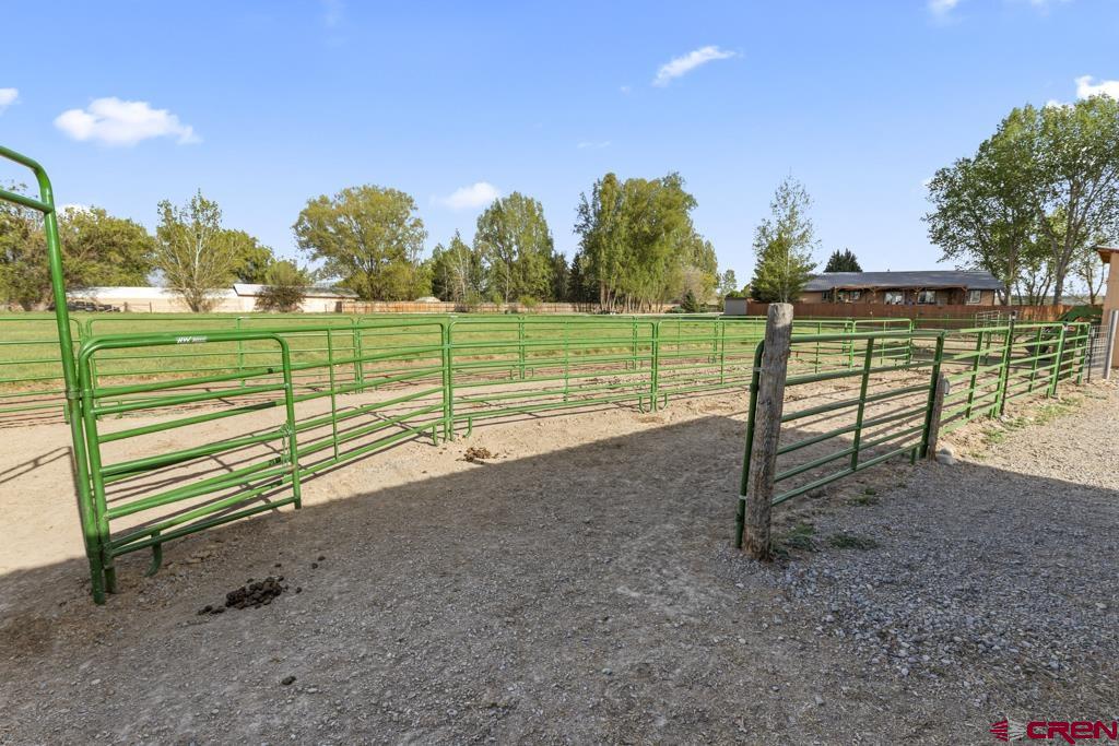 61393 Niagara Road Montrose, CO 81403 - Photo 21 of 45