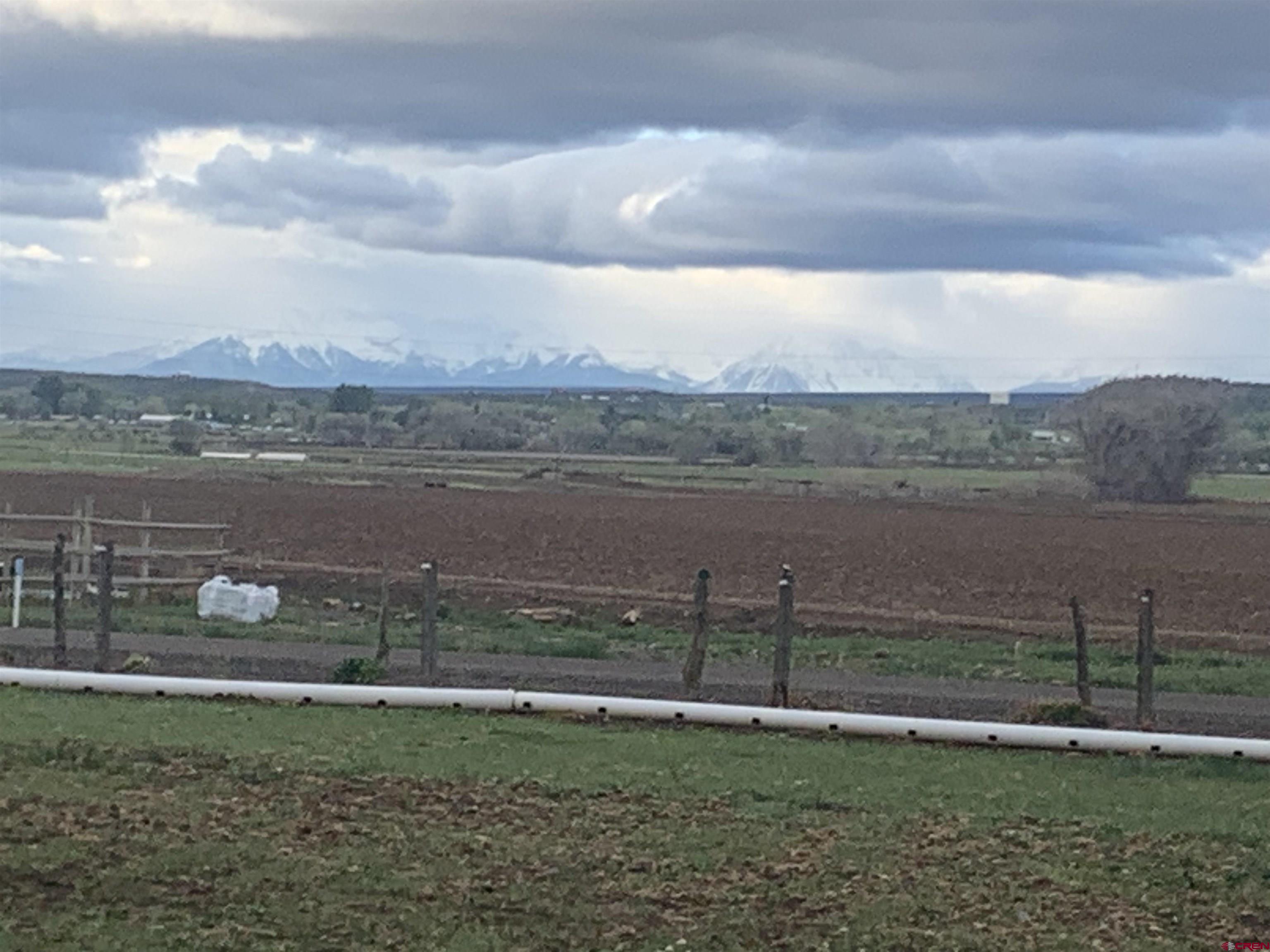 61393 Niagara Road Montrose, CO 81403 - Photo 3 of 45