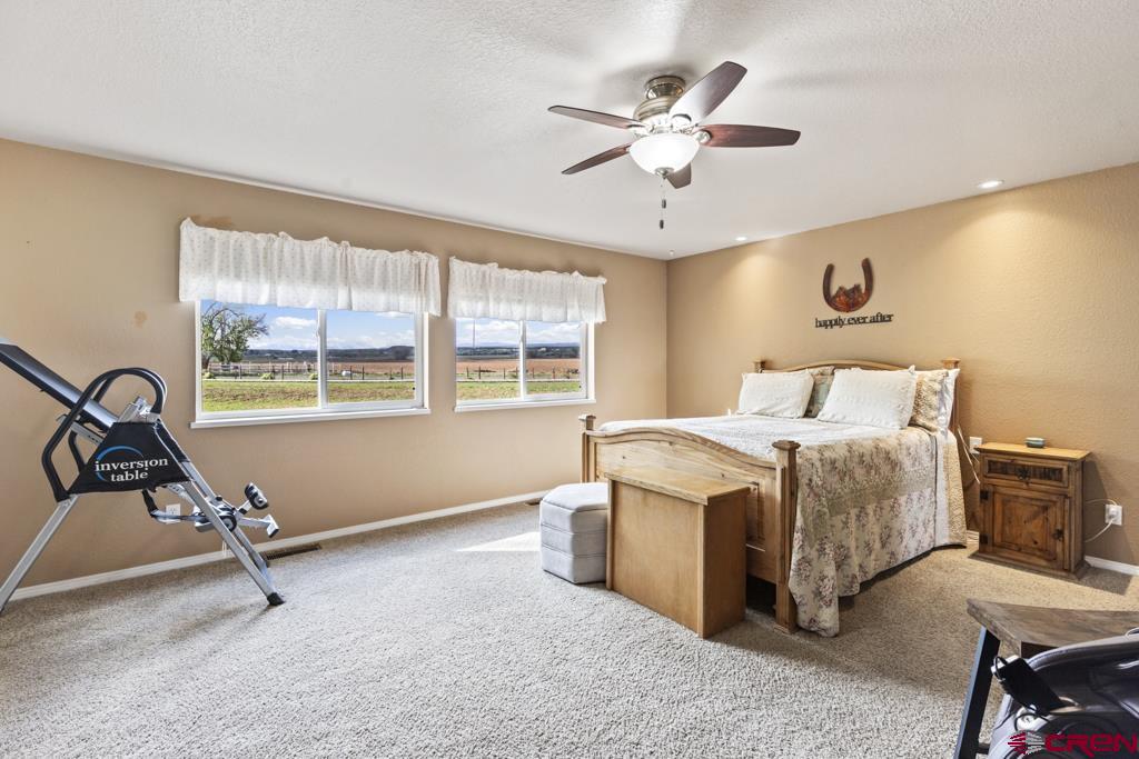 61393 Niagara Road Montrose, CO 81403 - Photo 32 of 45