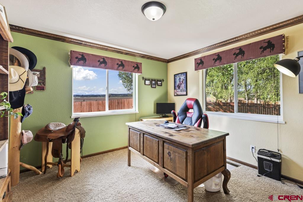 61393 Niagara Road Montrose, CO 81403 - Photo 37 of 45