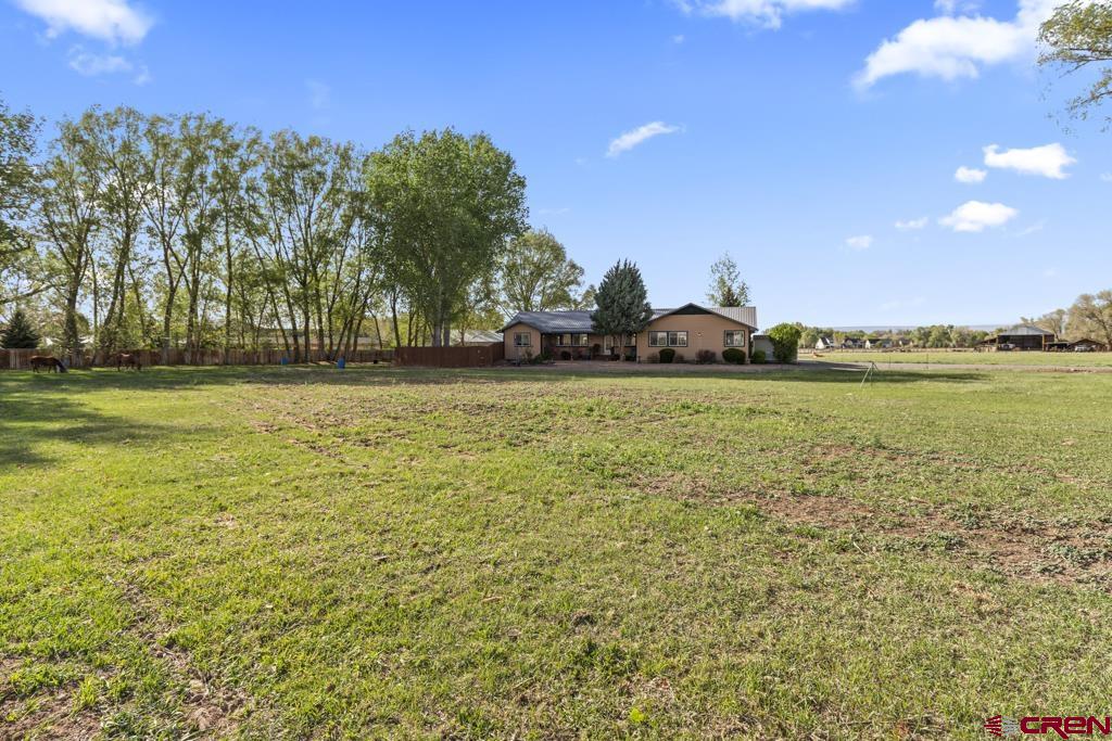 61393 Niagara Road Montrose, CO 81403 - Photo 9 of 45