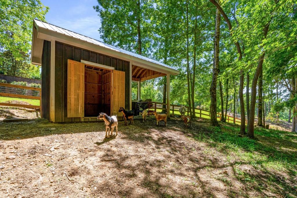 254 Nicholson Road Blue Ridge, GA 30513 - Photo 80 of 86