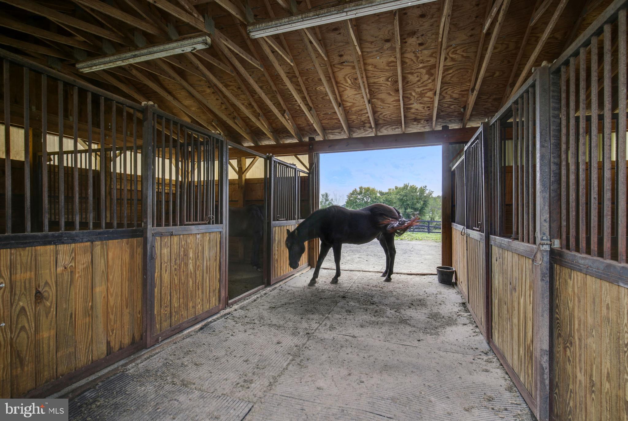5434 Old Bust Head Road Broad Run, VA 20137 - Photo 6 of 41 Gallery Image 6