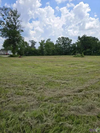 $75,000 | Tbd Courtney Road, Gonzales, LA 70737