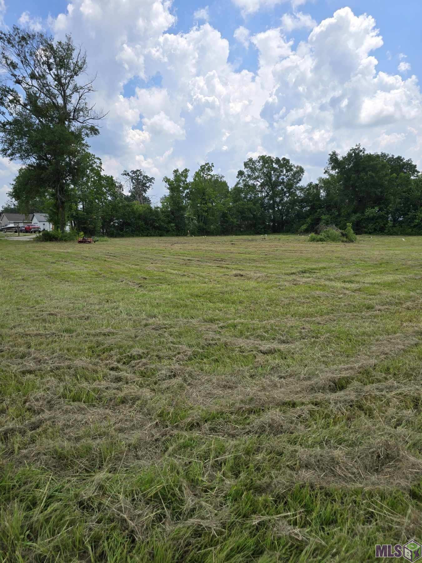 Tbd Courtney Road Gonzales, LA 70737 - Photo 2 of 3