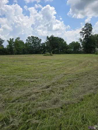 $75,000 | Tbd Courtney Road, Gonzales, LA 70737