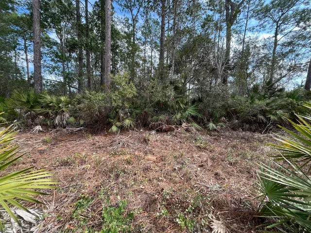 a big yard with lots of green space and plants
