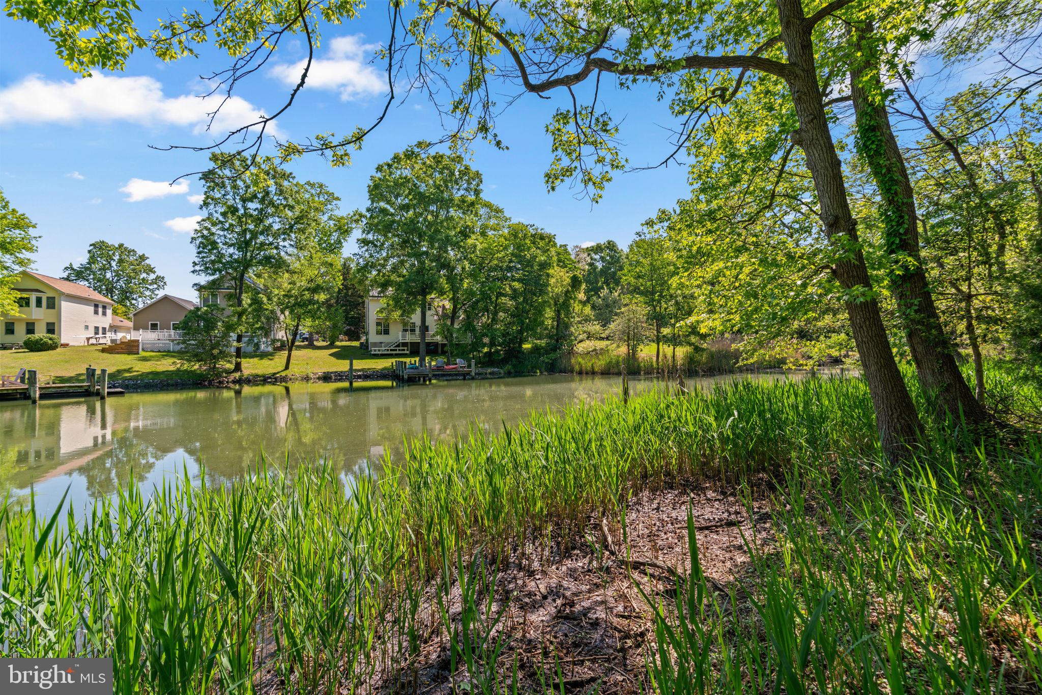 4218 Shoreham Beach Road Edgewater, MD 21037 - Photo 8 of 19