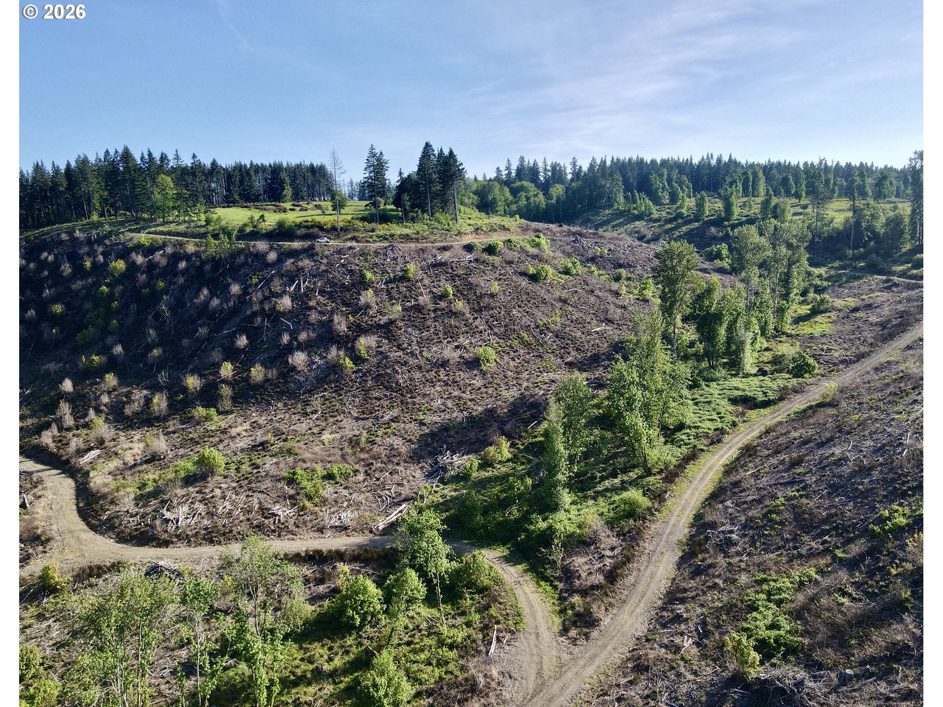 South Ellis Road Molalla, OR 97038 - Photo 10 of 19