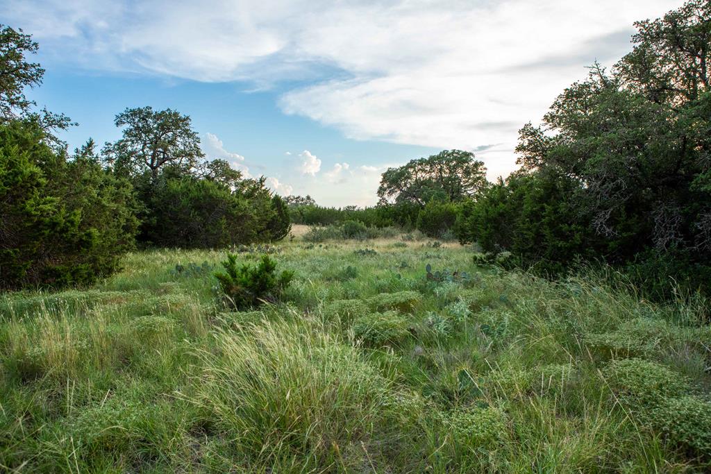 Undisclosed Address Rocksprings, TX 78880 - Photo 43 of 50
