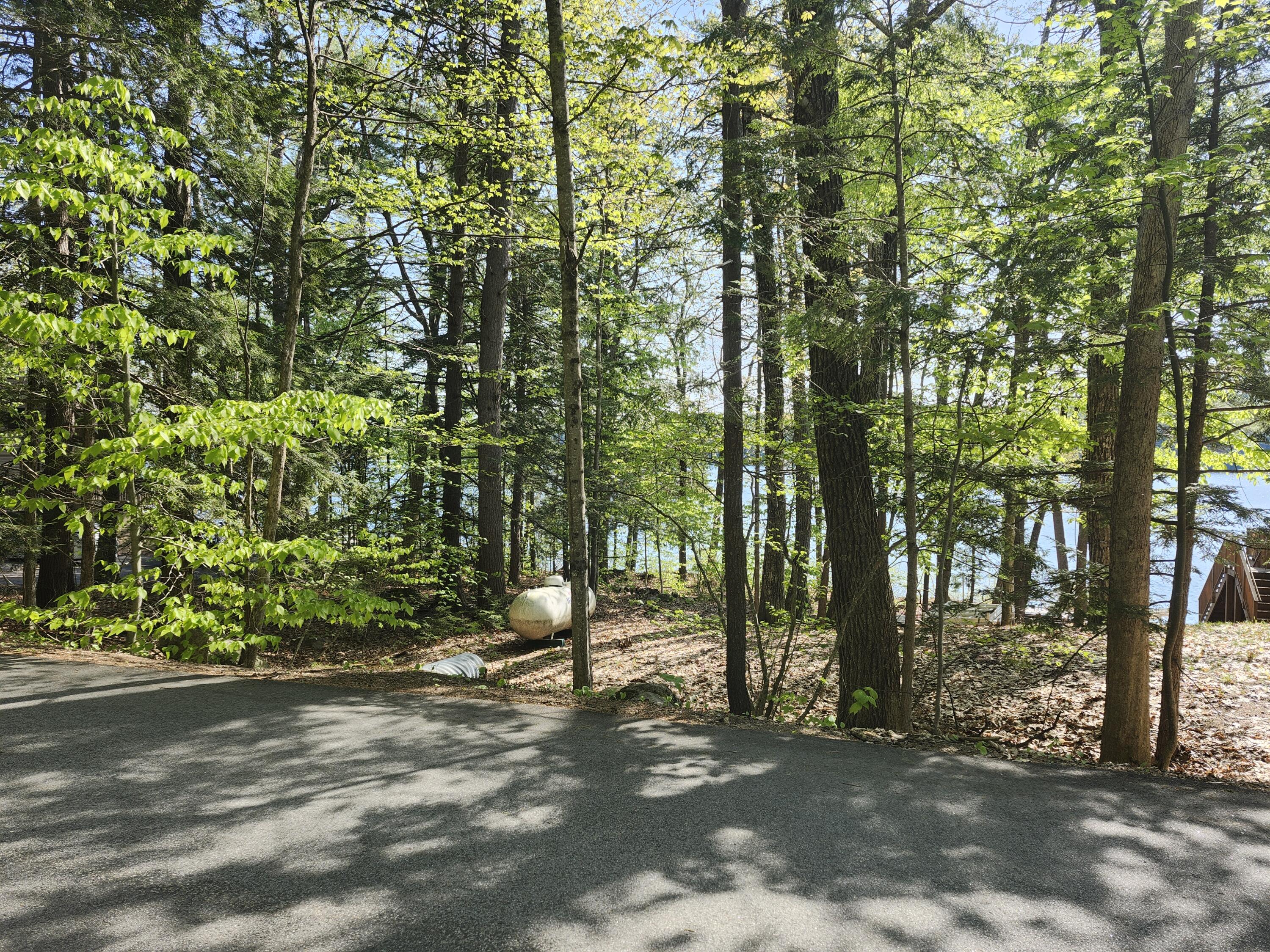 Lot #006 Trickey Pond Road Naples, ME 04055 - Photo 3 of 30 20250514_085930