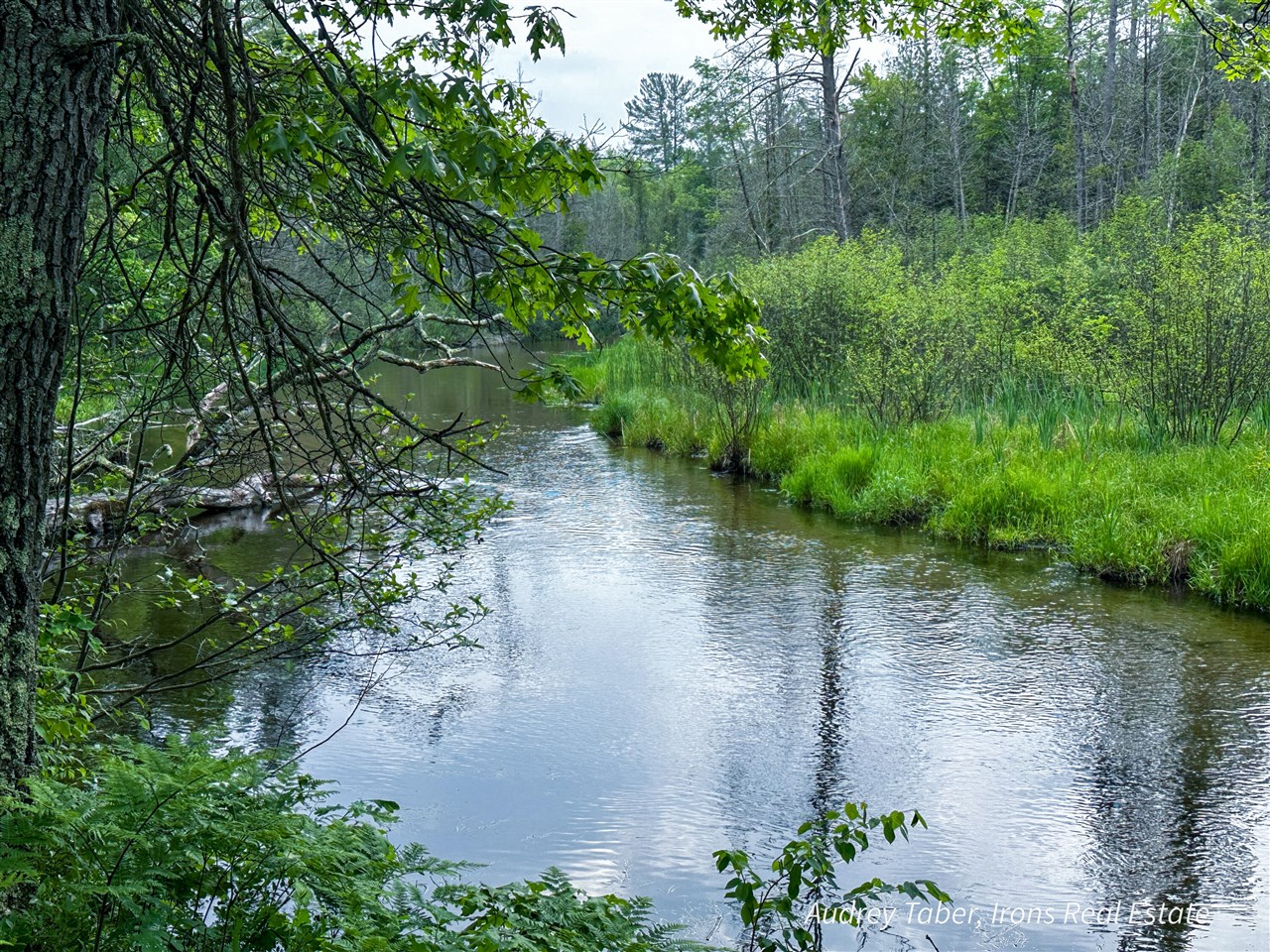 0 Millerton Road Scottville, MI 49454 - Photo 10 of 12