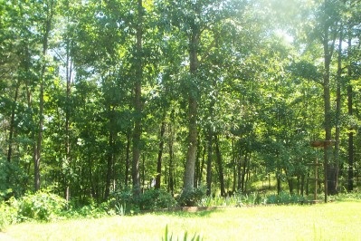Mcgee Road Salem, SC 29676 - Photo 1 of 3 Gallery Image 1