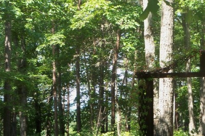 Mcgee Road Salem, SC 29676 - Photo 2 of 3 Gallery Image 2