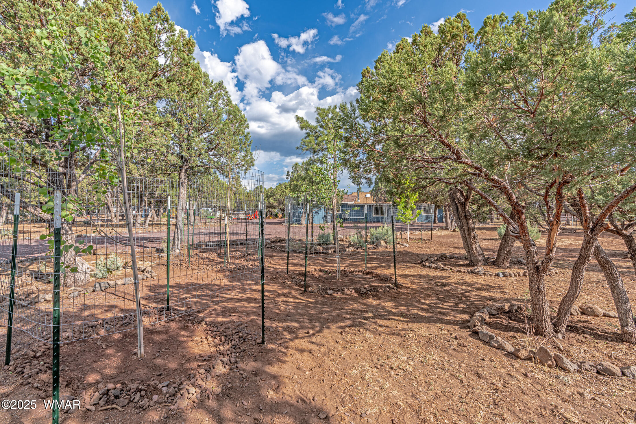 703 Backwoods Trail Lakeside, AZ 85929 - Photo 29 of 31 well landscaped and 5yr old maple trees recently planted