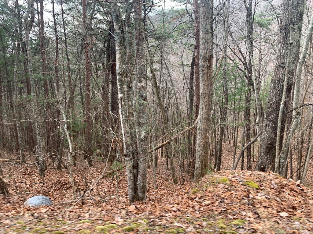 Lot 20 Wolf Ridge Lane Murphy, NC 28906 - Photo 25 of 27