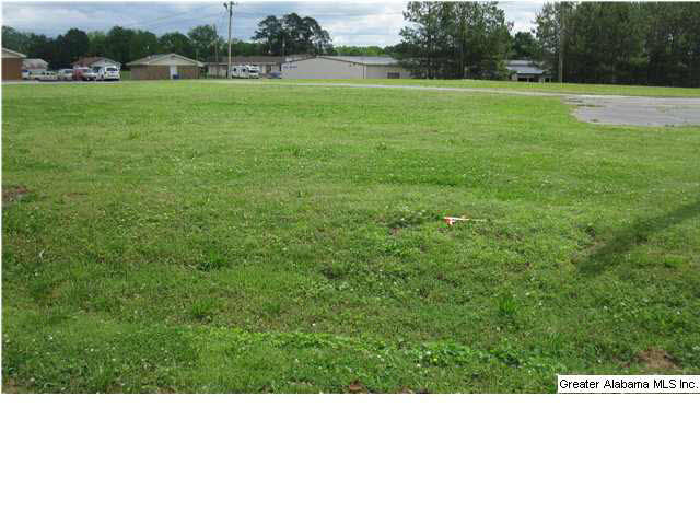 Mccall Street, Unit 5 Altoona, AL 35952 - Photo 1 of 4